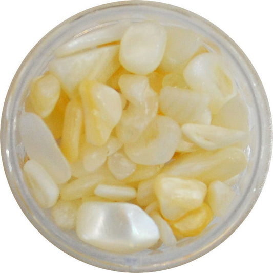 天然貝殻 大粒シェルパーツ NATSHELL001 ナチュラル