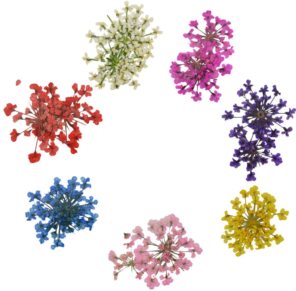 押し花7色セット 小さい花弁のドライフラワーで可愛いです