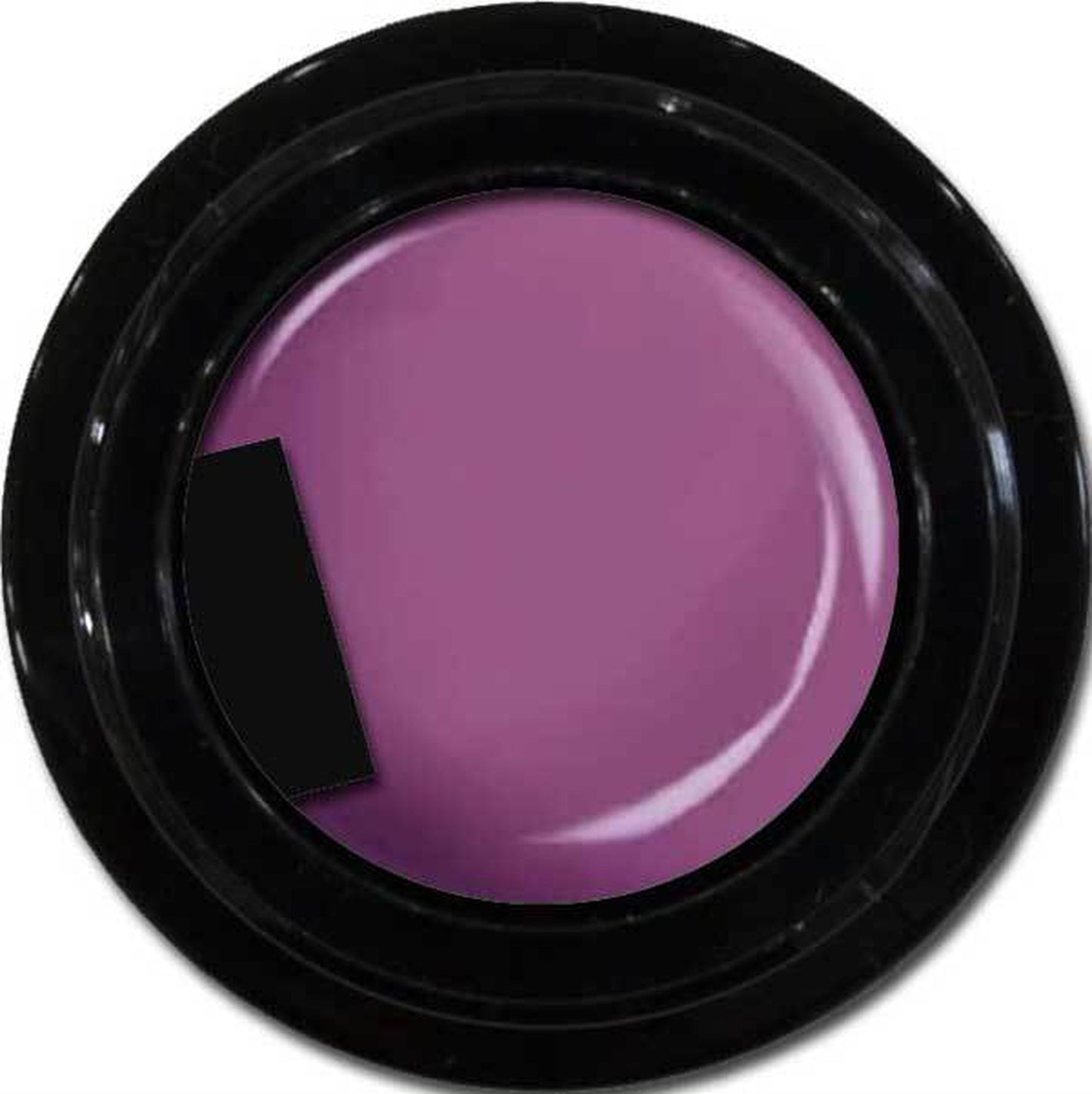 enchant color gel M509 StarPurple 3g/ マットカラー M509スターパープル 3グラム