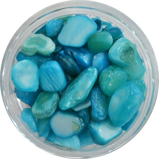 天然貝殻 大粒シェルパーツ NATSHELL004 ブルーターコイズ