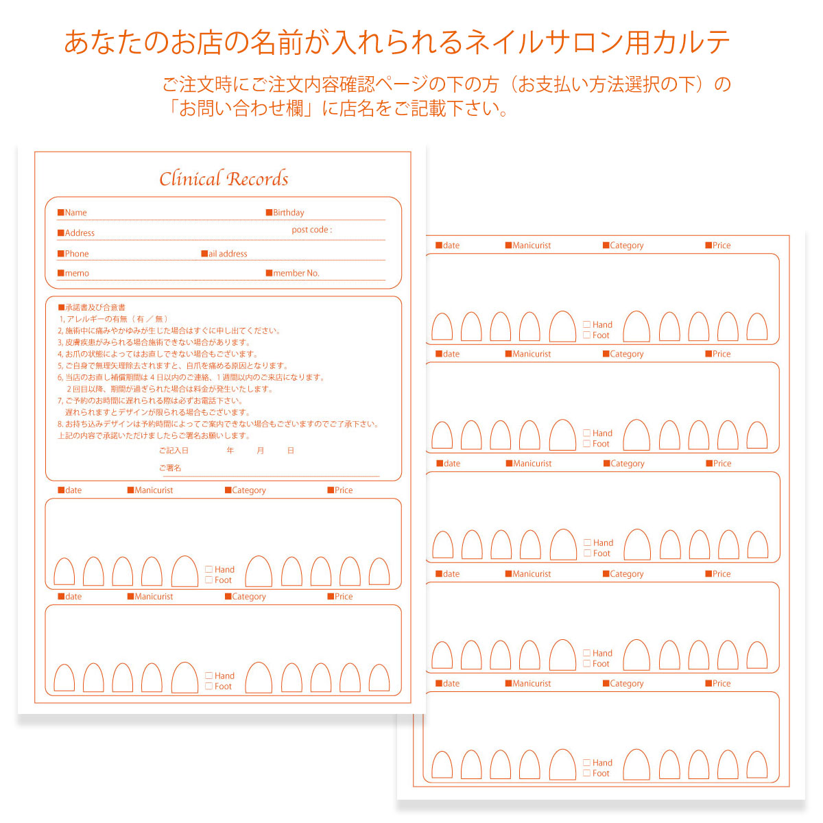 サロン名が指定可能なオリジナルネイルサロンカルテ/PDFファイルをDVDにて納品 – Princess nail Online